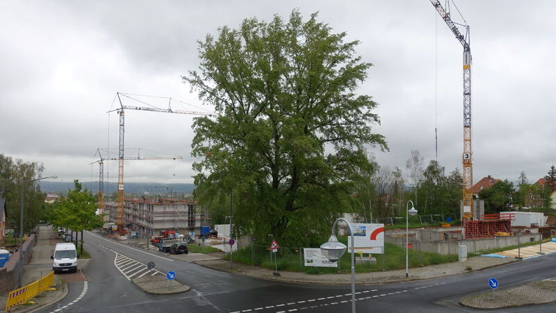 Baufortschritt Nickerner Weg
